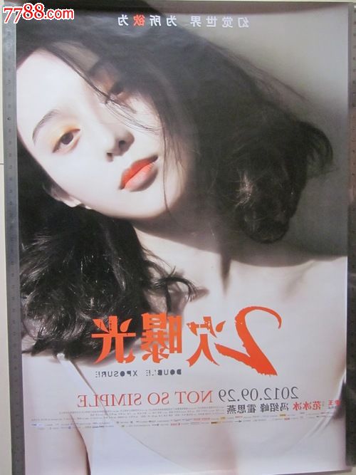 做假假爱尔兰护照电子版
